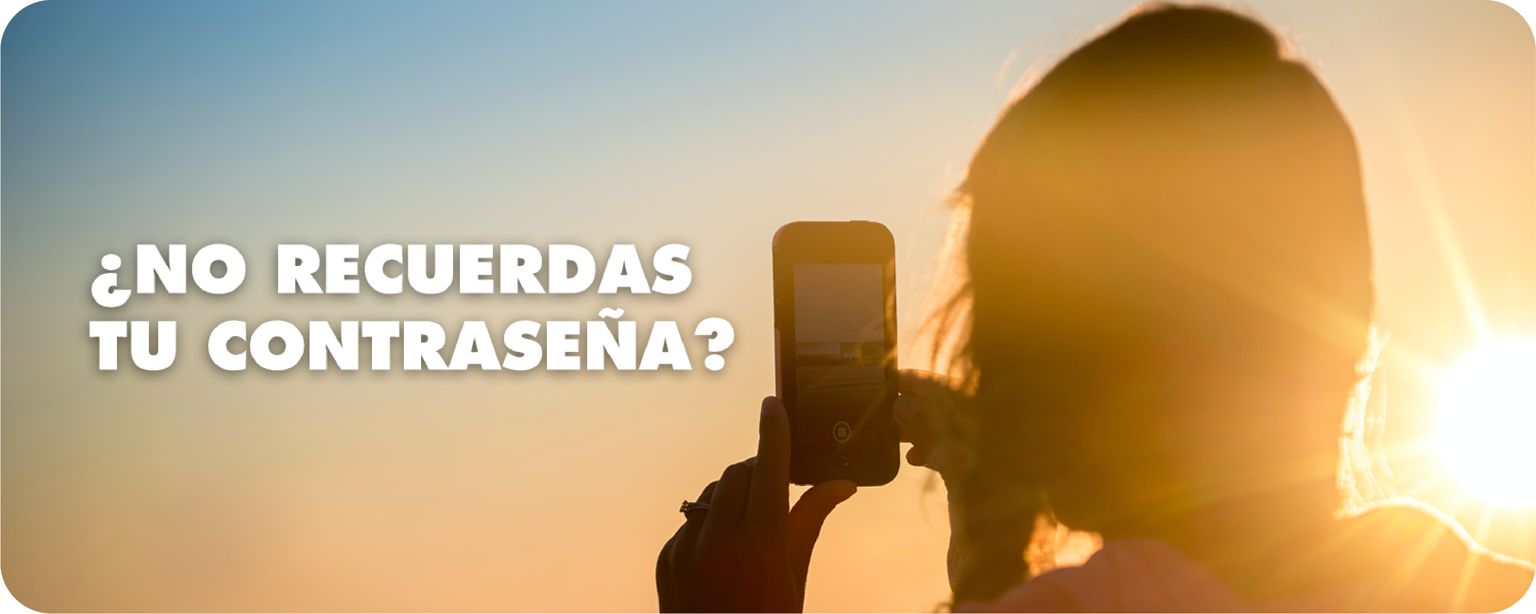 Actualizar contraseña